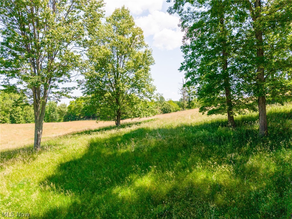 3640 NW Hope Road Magnolia OH 44643