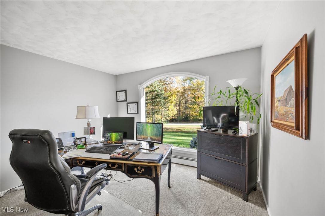 10885 Scranton Woods Trail Newbury OH 44065