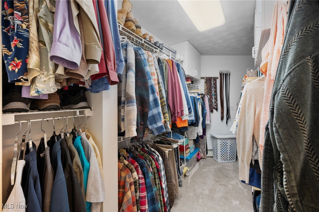 10885 Scranton Woods Trail Newbury OH 44065