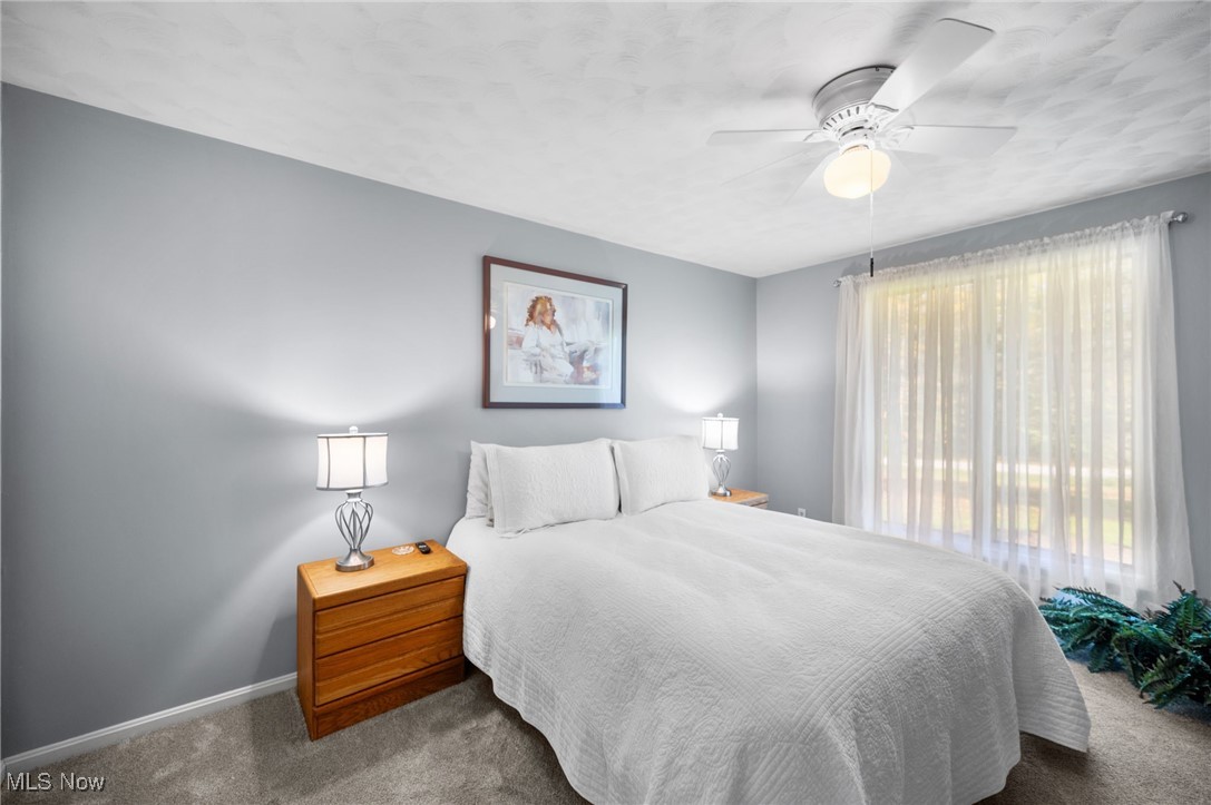 10885 Scranton Woods Trail Newbury OH 44065