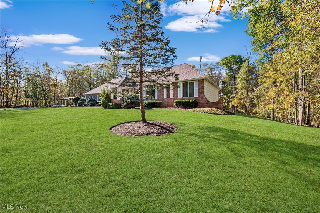 10885 Scranton Woods Trail Newbury OH 44065