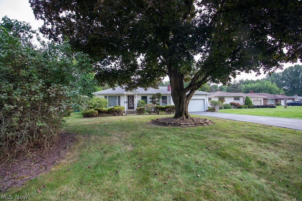 265 Richards Drive Liberty OH 44505