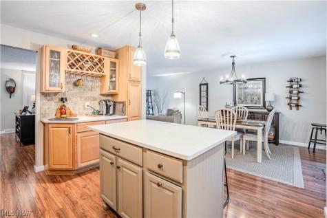 20566 Village Green Drive Strongsville OH 44149