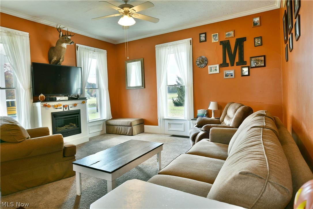 4805 Bradley Brownlee Road Farmdale OH 44417