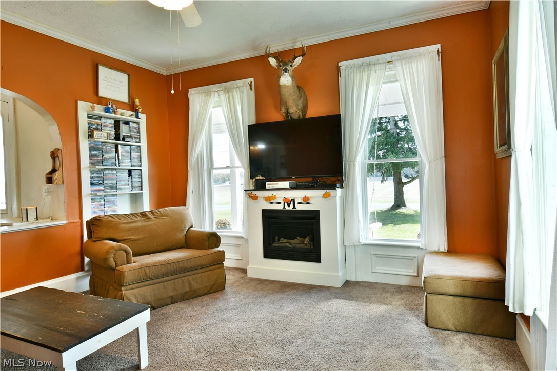 4805 Bradley Brownlee Road Farmdale OH 44417