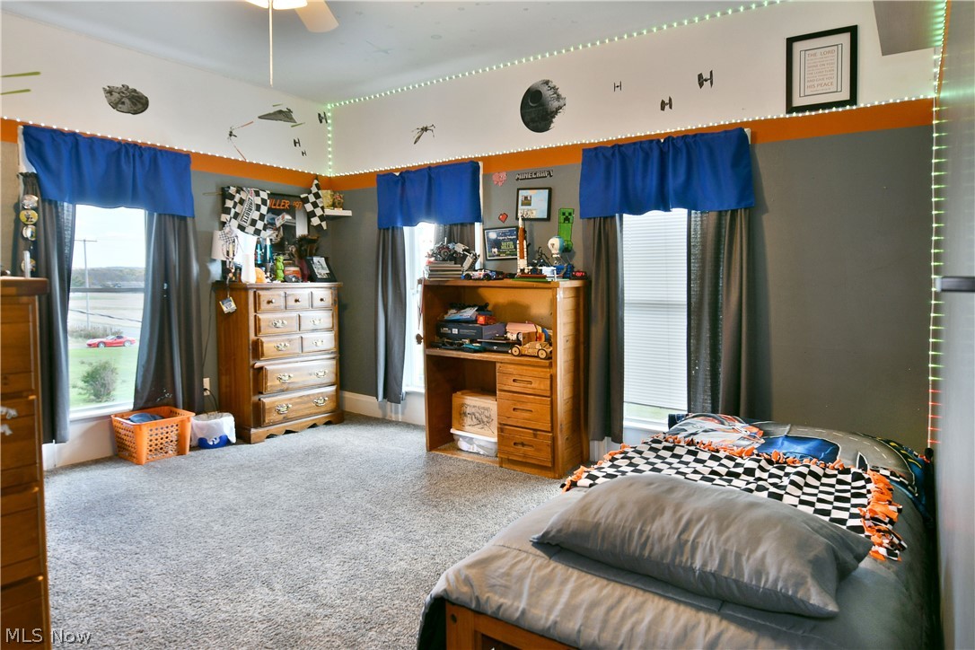 4805 Bradley Brownlee Road Farmdale OH 44417