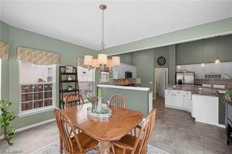 1671 Pine Drive Avon OH 44011