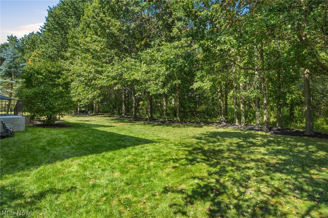 35098 Emory Drive Avon OH 44011