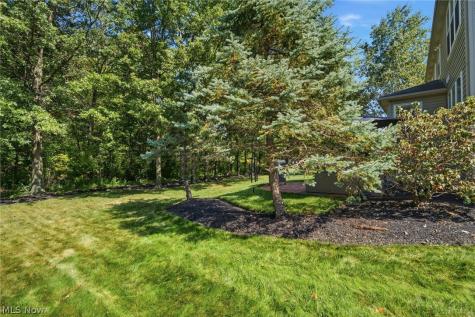 35098 Emory Drive Avon OH 44011