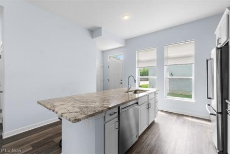 1523 E 122 Street Cleveland OH 44106