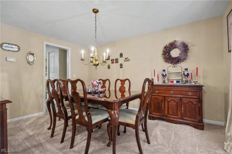 5410 Park Vista Court Stow OH 44224