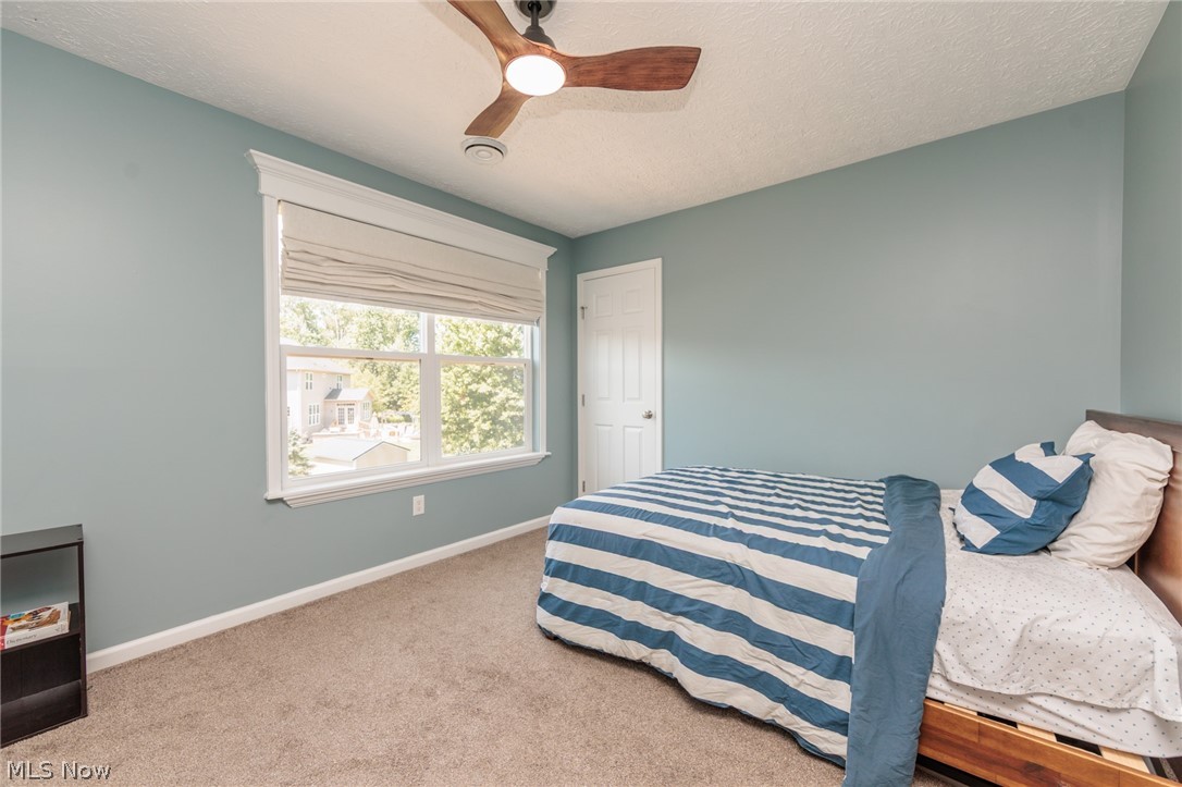 2436 Roxboro Street Avon OH 44011