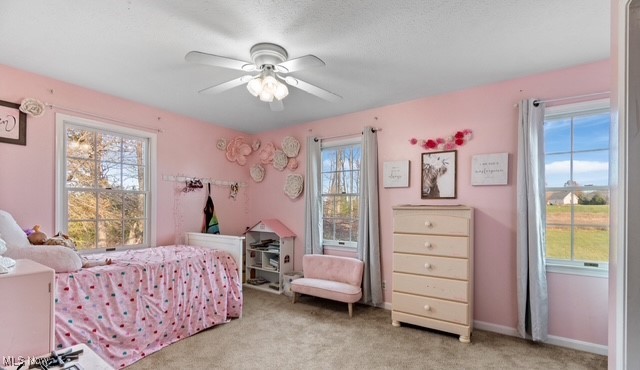 8995 Ridge Road Wooster OH 44691