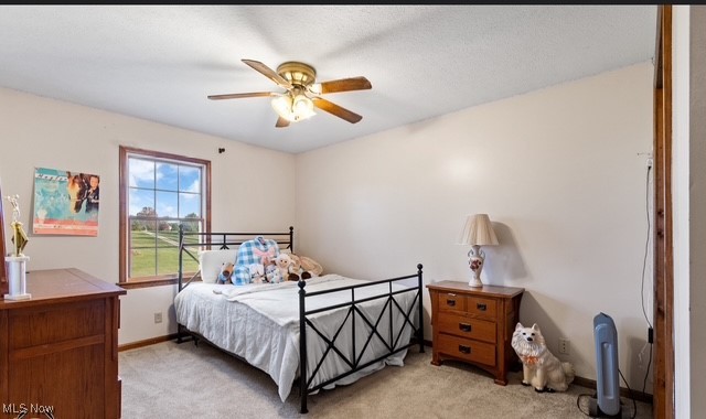 8995 Ridge Road Wooster OH 44691