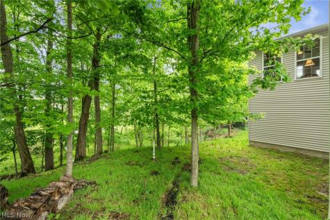 12554 Meadowview Drive North Royalton OH 44133