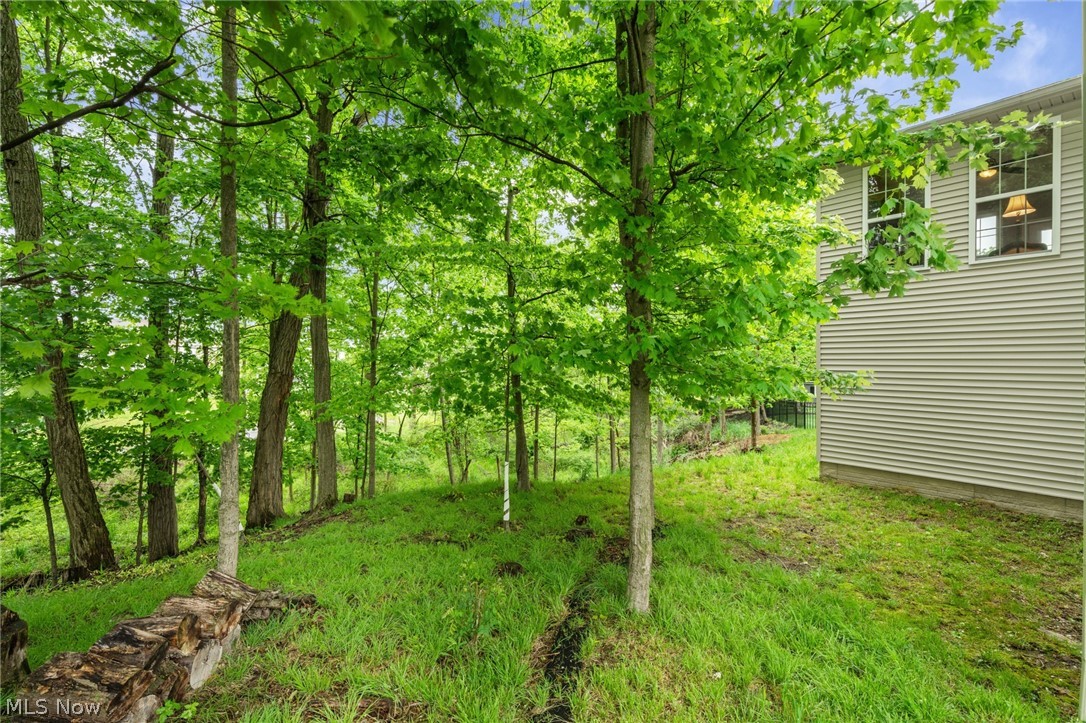 12554 Meadowview Drive North Royalton OH 44133