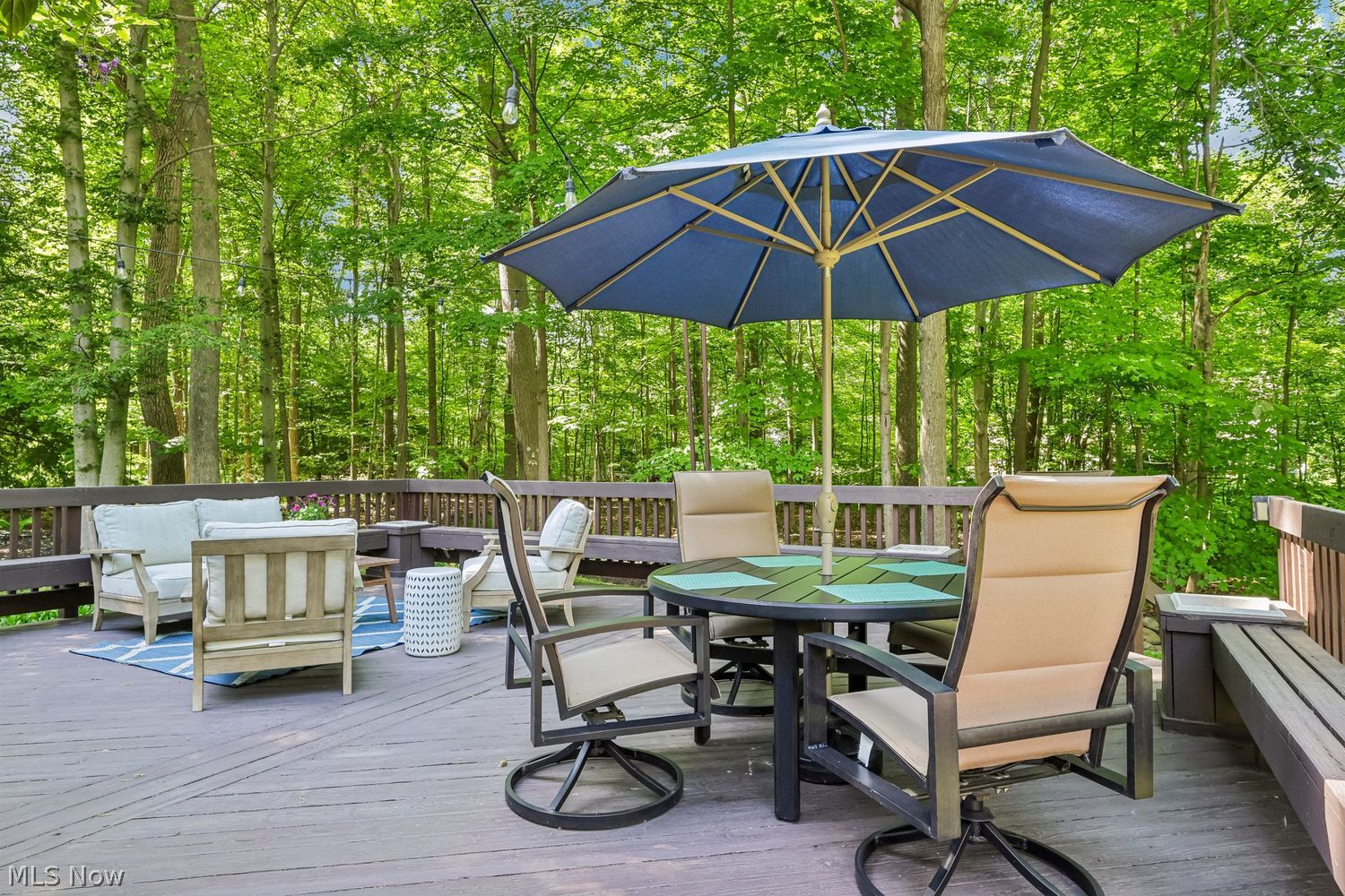 1679 Goshen Drive Hudson OH 44236