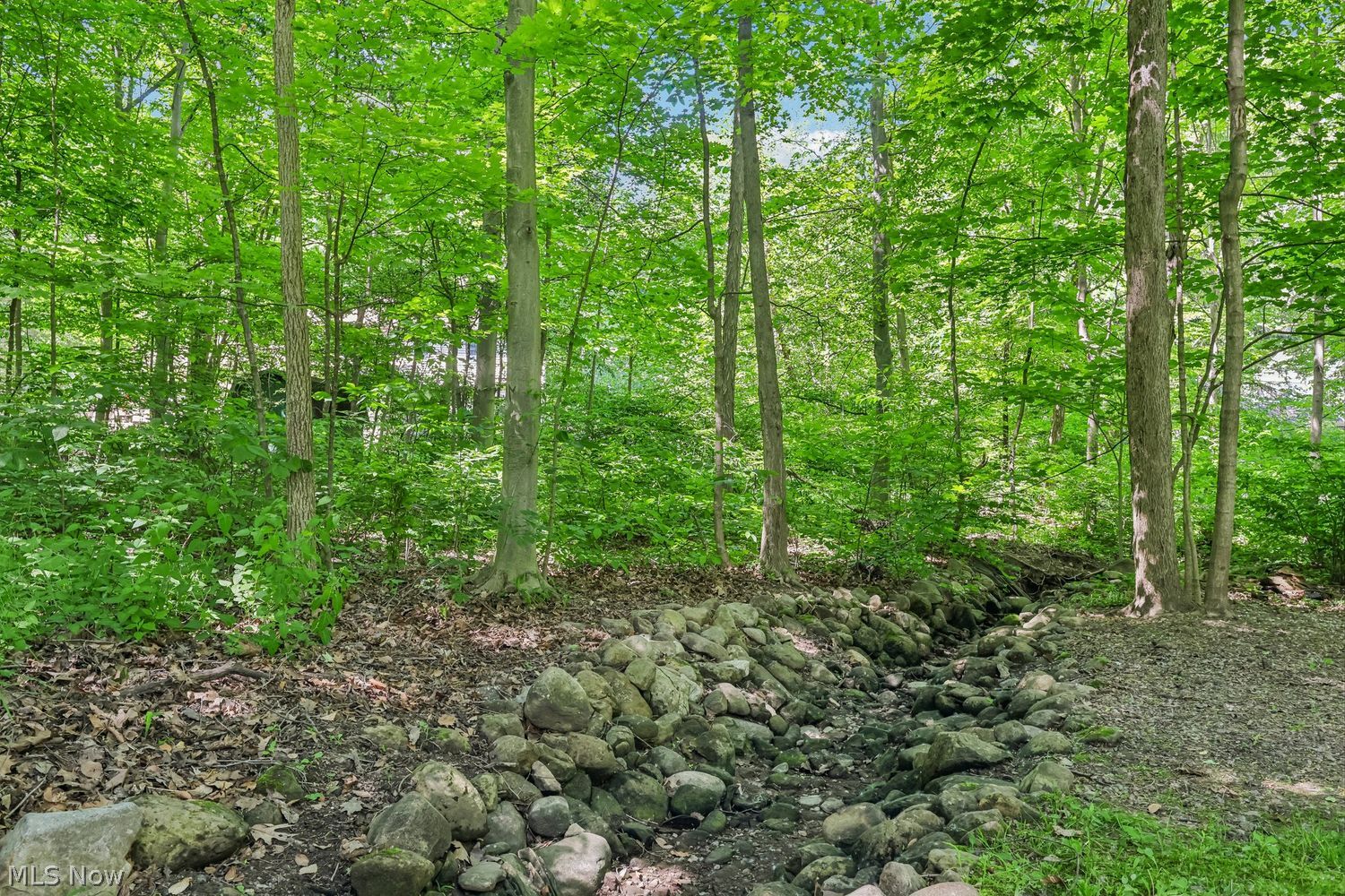 1679 Goshen Drive Hudson OH 44236