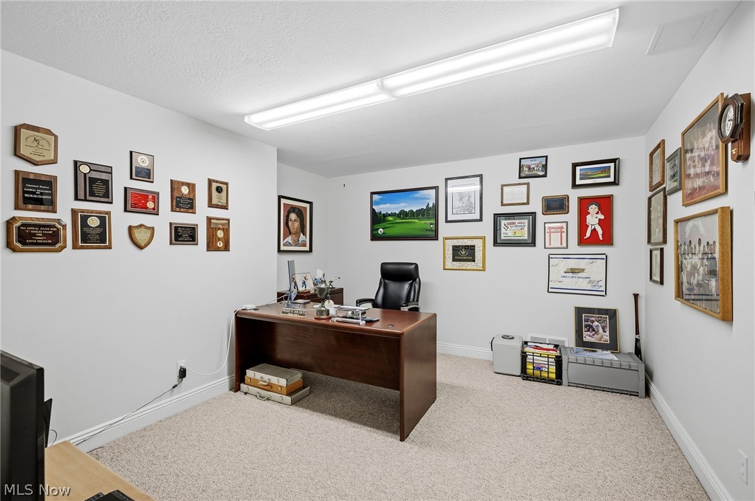 427 Diana Court Highland Heights OH 44143