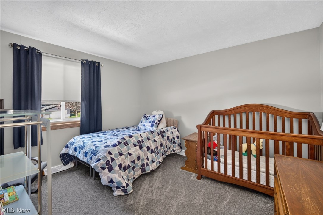 6469 Carter Boulevard Mentor OH 44060