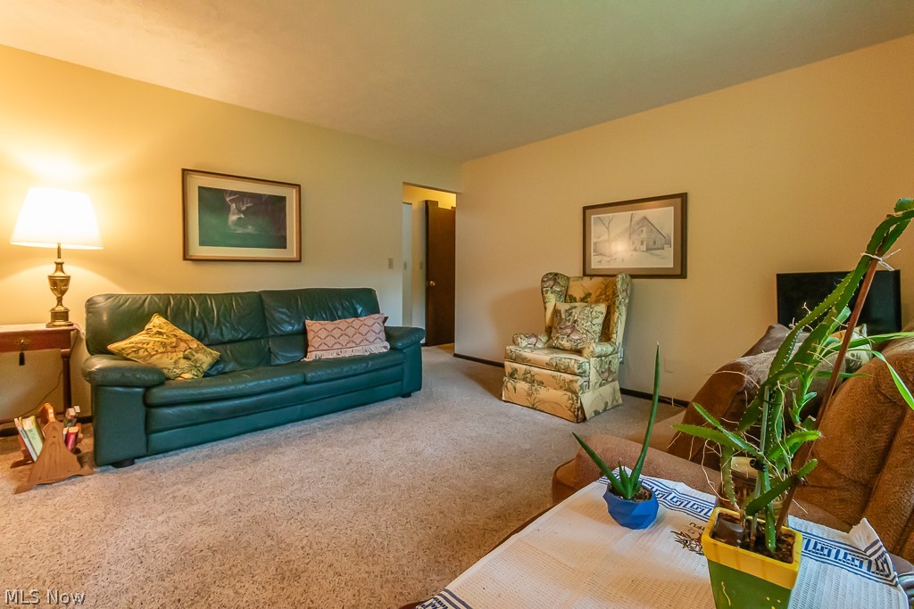 600 Oriole Drive Roaming Shores OH 44084