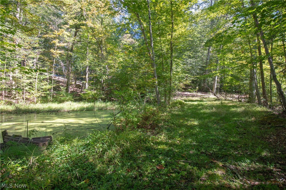 12061 Heath Road Chesterland OH 44062