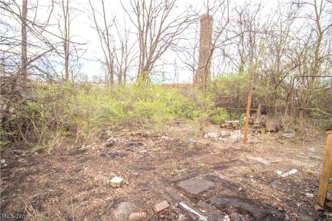 9207 Cannon Avenue Cleveland OH 44105