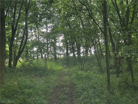 5742 Grove Road Clinton OH 44216