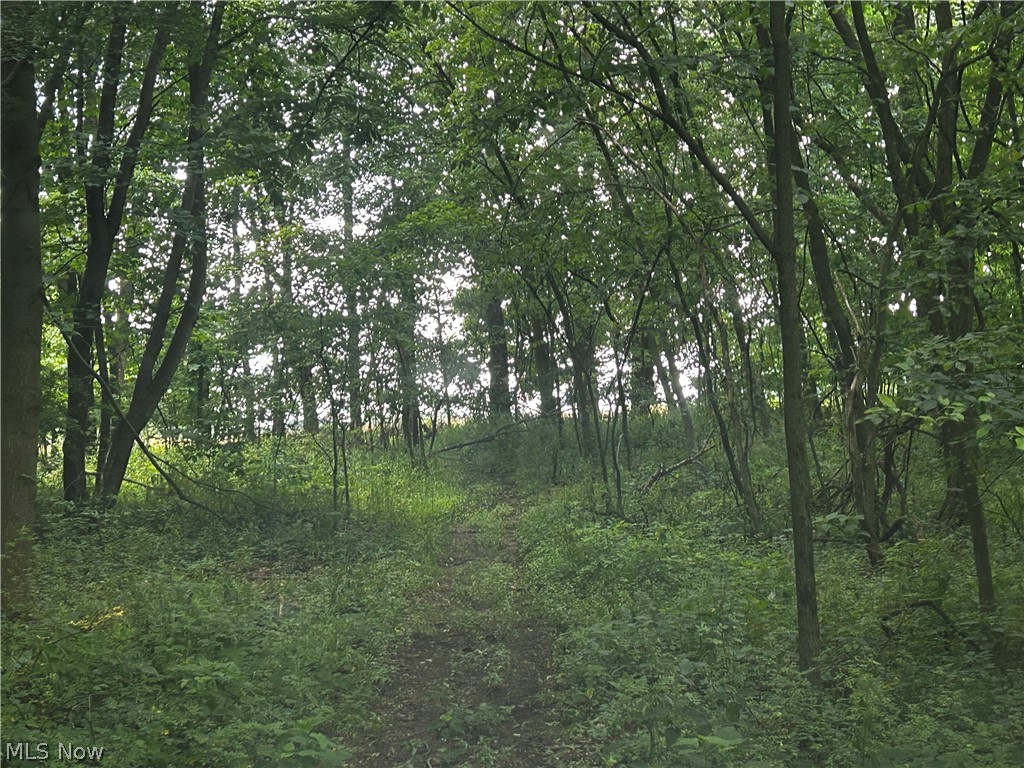5742 Grove Road Clinton OH 44216
