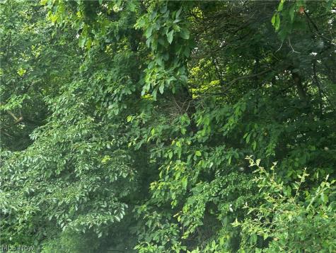 5742 Grove Road Clinton OH 44216