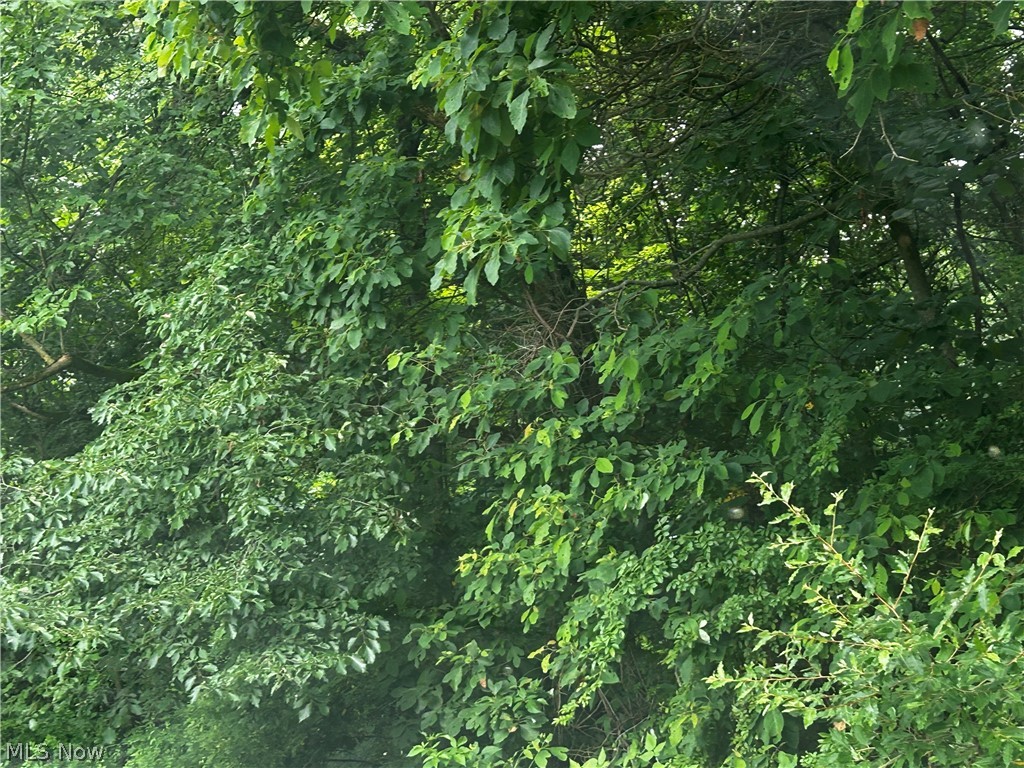 5742 Grove Road Clinton OH 44216