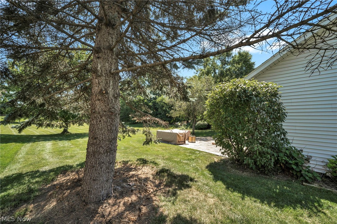 421 Summit Street Wadsworth OH 44281