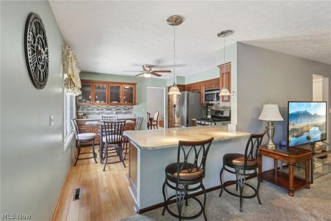 14784 Stone Creek Oval Strongsville OH 44149