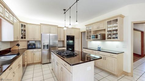 10 Deep Creek Lane Moreland Hills OH 44022