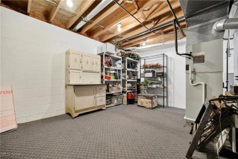 3473 Auvergne Oval Brunswick OH 44212