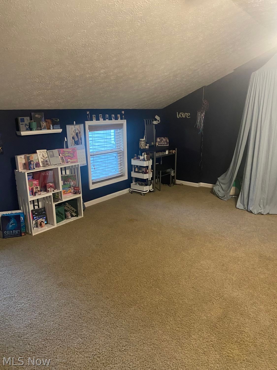 6328 Oak Tree Drive S Lorain OH 44053