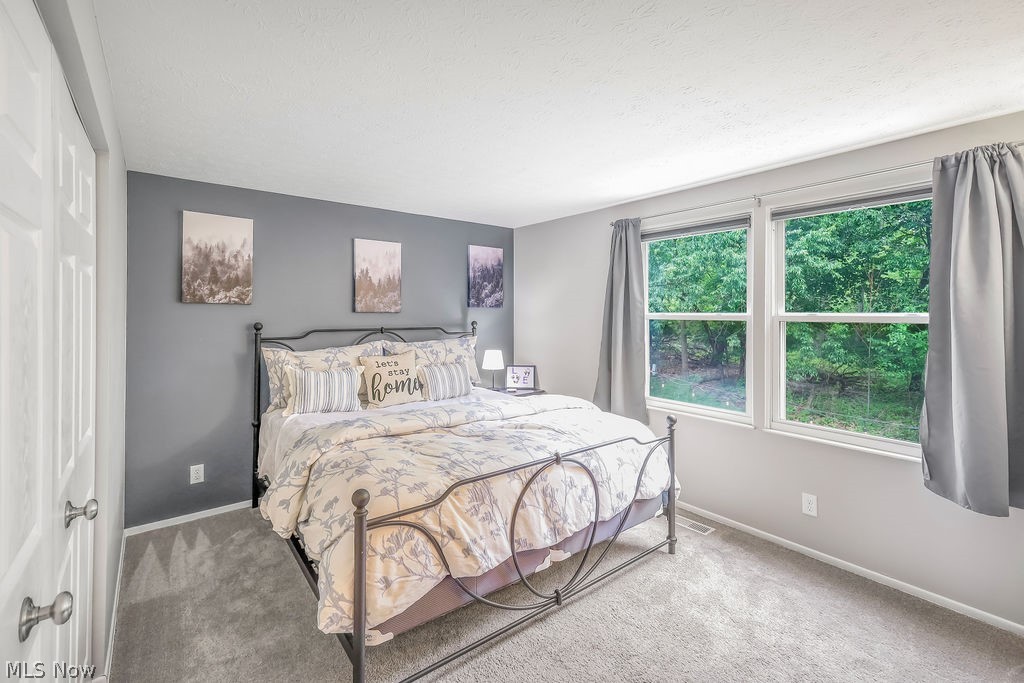1161 Erin Drive Kent OH 44240