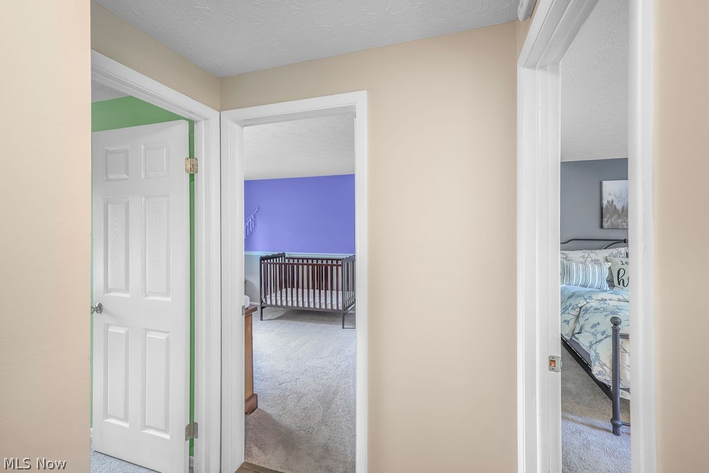 1161 Erin Drive Kent OH 44240