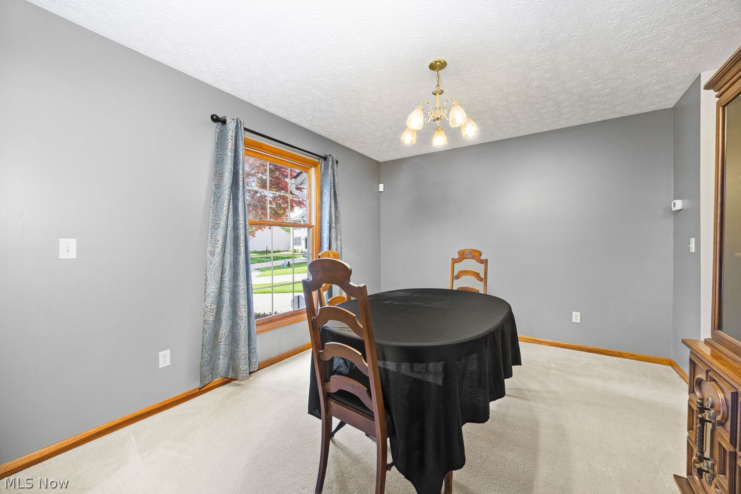 3772 Selma Lane Brunswick OH 44212