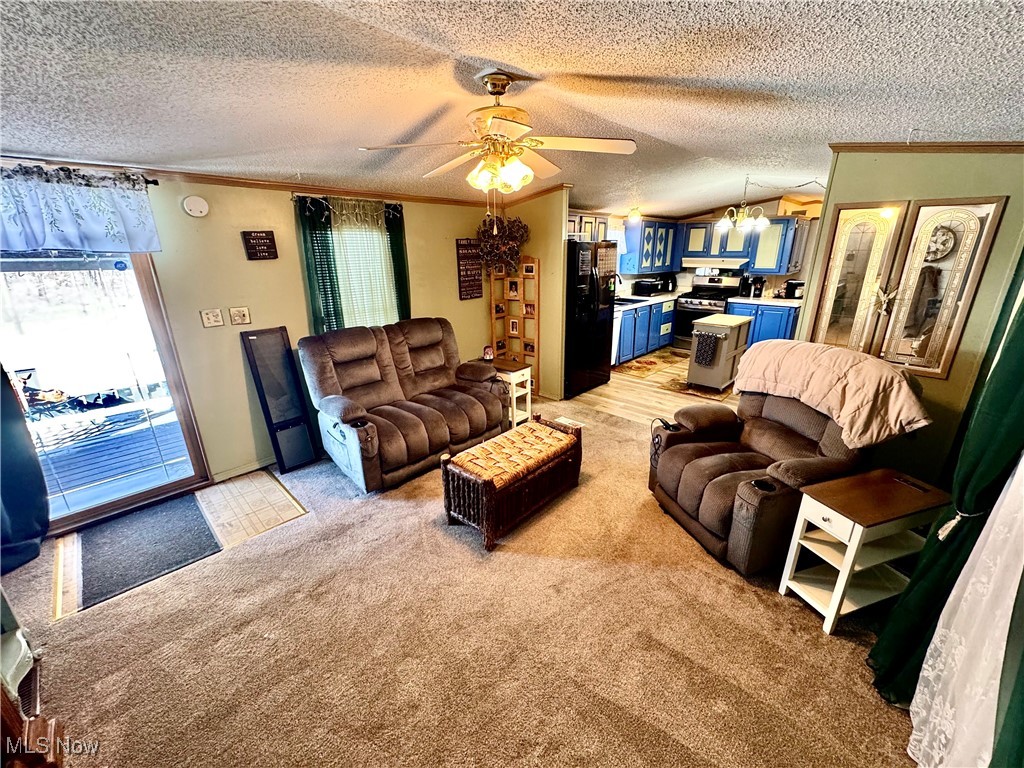 10164 William Henry Drive Streetsboro OH 44241