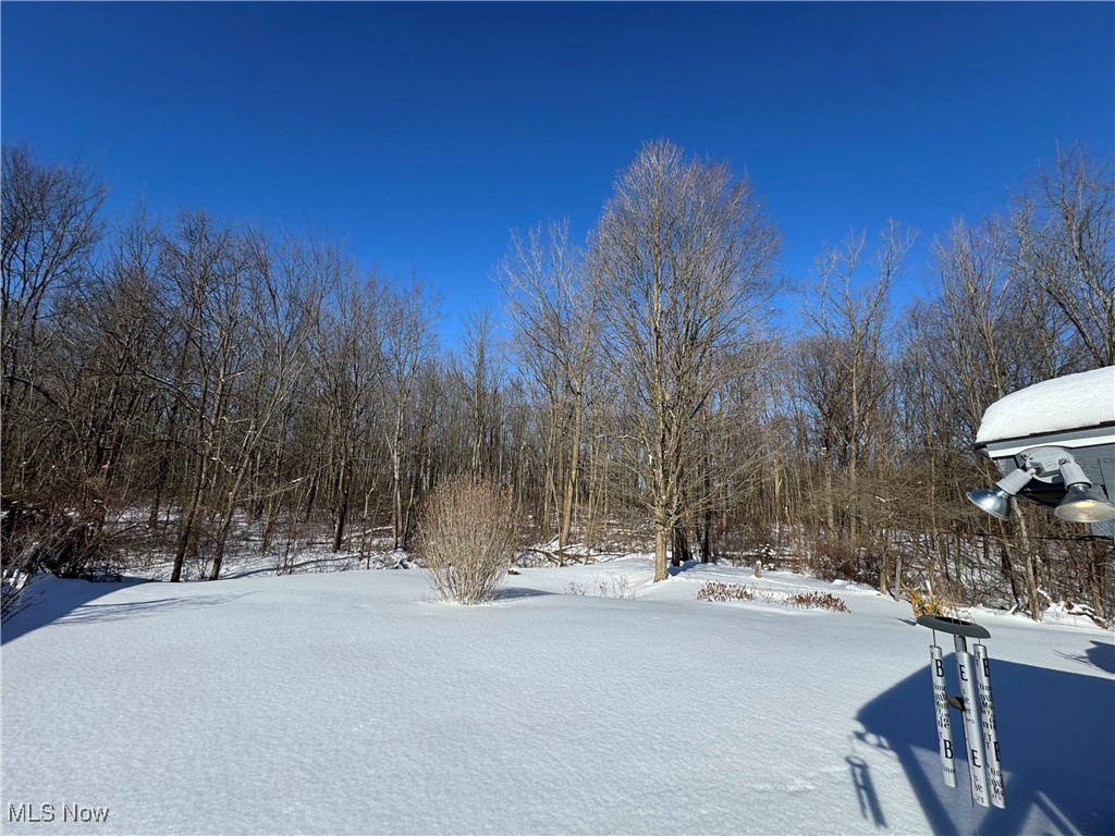 10164 William Henry Drive Streetsboro OH 44241