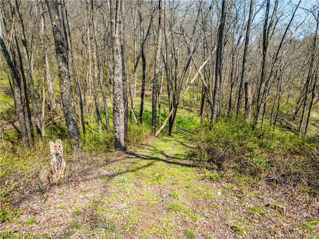 7313 County Road 22 Lakeville OH 44638