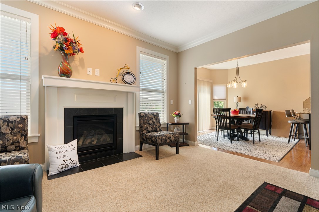 9684 Emerald Bluff Circle NW Canal Fulton OH 44614