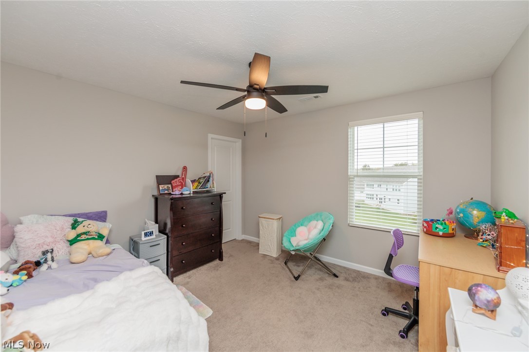 3487 Crandall Avenue Richfield OH 44286