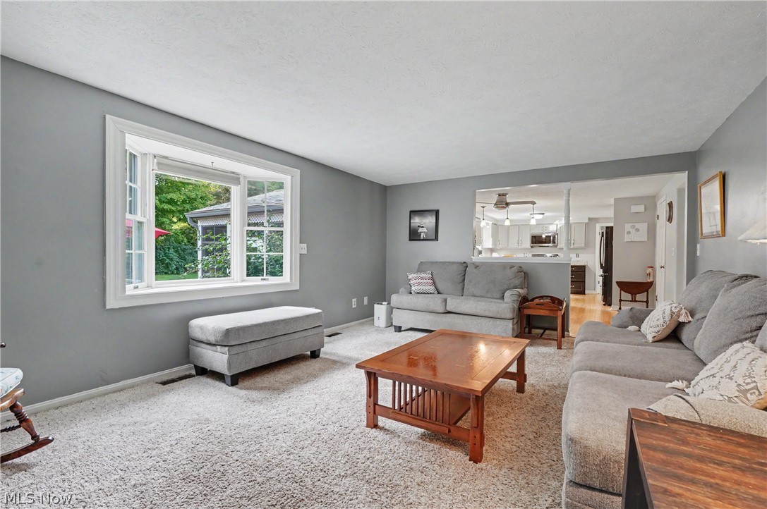 7370 Lacosta Drive Hudson OH 44236