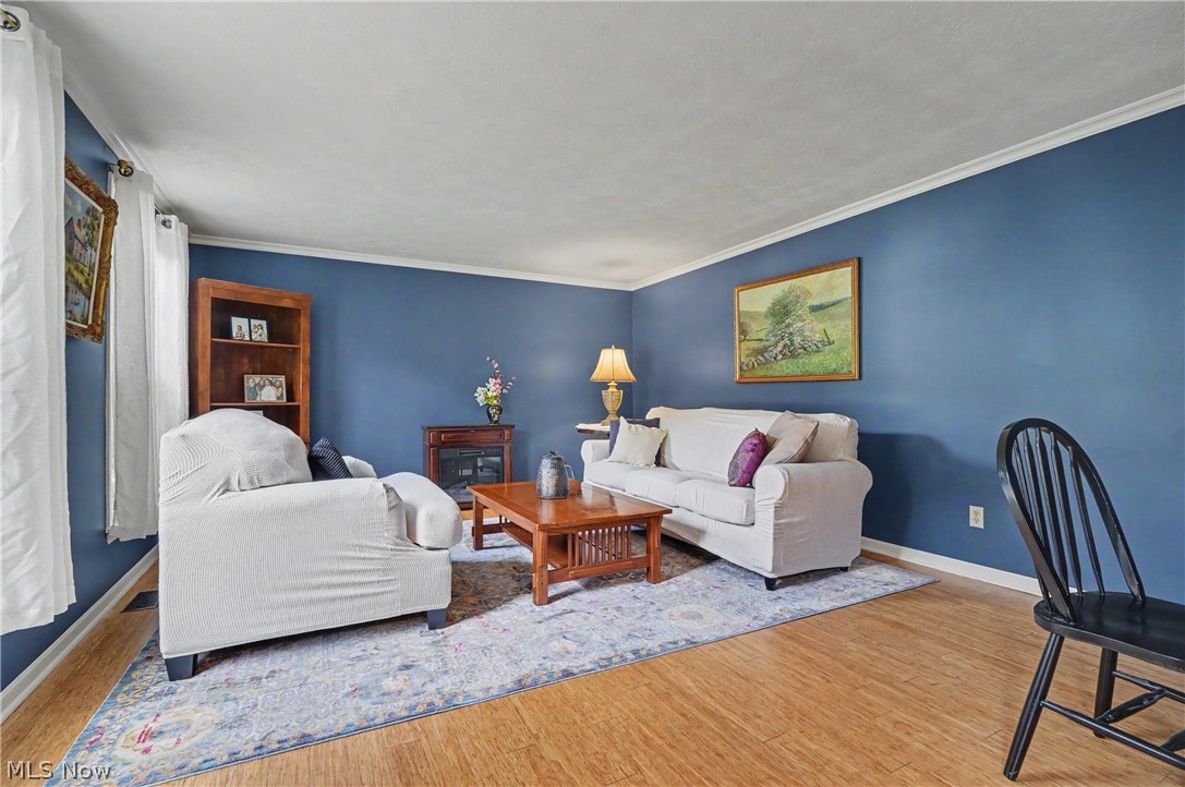 7370 Lacosta Drive Hudson OH 44236