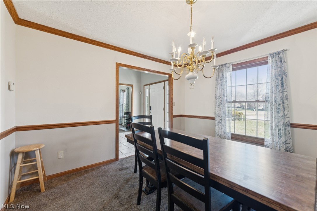 310 Carol Lane Elyria OH 44035