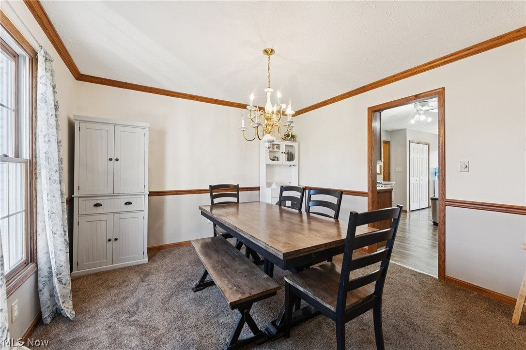 310 Carol Lane Elyria OH 44035