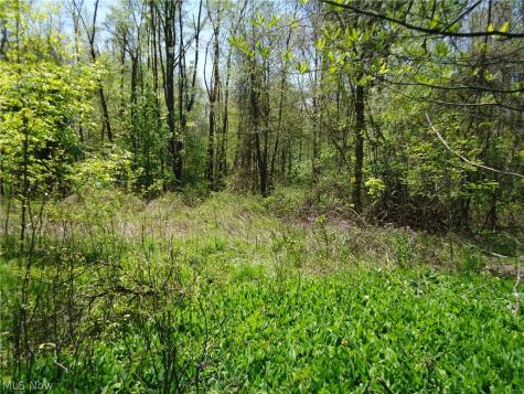 166 W Garwood Drive Tallmadge OH 44278