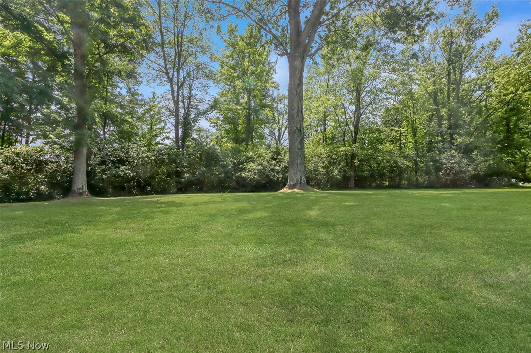 11785 Arbor Glen Drive Chardon OH 44024